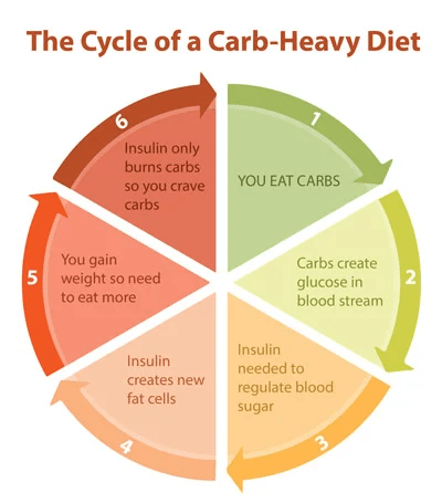 The cycle of Carb-Heavy Diet