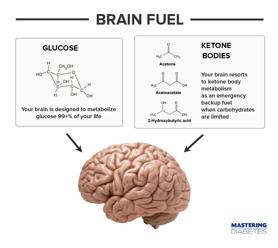 Ketone Bodies